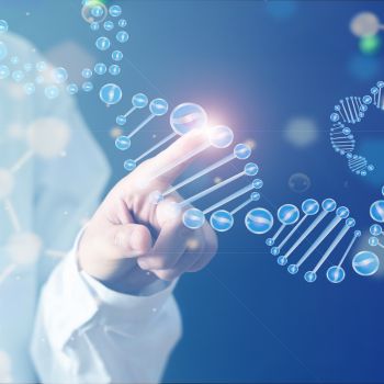 סרטון השחלות